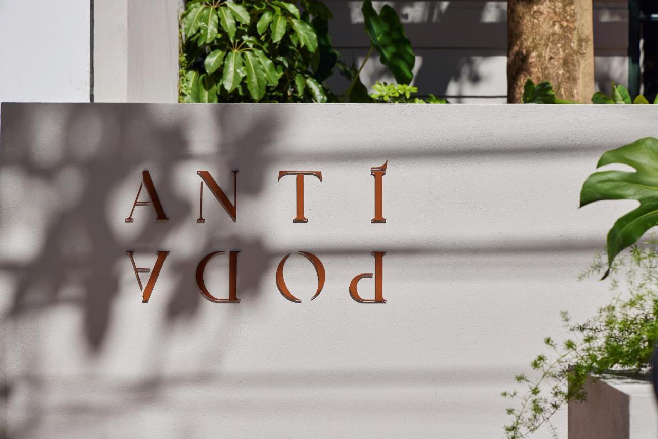 Antipoda Hotel Boutique Μεντεγίν Εξωτερικό φωτογραφία
