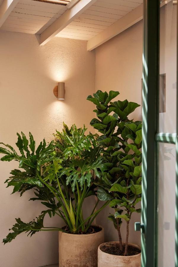Antipoda Hotel Boutique Μεντεγίν Εξωτερικό φωτογραφία